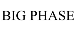 BIG PHASE trademark