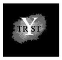 TRYST trademark