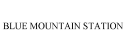 BLUE MOUNTAIN STATION trademark