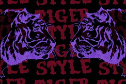 TIGER STYLE trademark