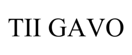 TII GAVO trademark