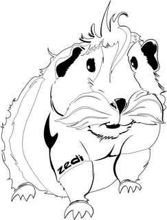ZEDI trademark