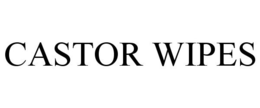 CASTOR WIPES trademark