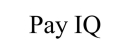 PAY IQ trademark