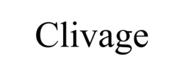 CLIVAGE trademark