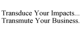 TRANSDUCE YOUR IMPACTS... TRANSMUTE YOUR BUSINESS. trademark