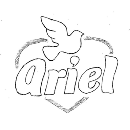 ARIEL trademark