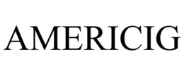 AMERICIG trademark