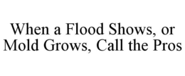 WHEN A FLOOD SHOWS, OR MOLD GROWS, CALL THE PROS trademark