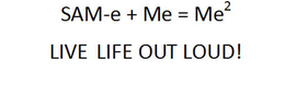 SAM-E + ME = ME2 LIVE LIFE OUT LOUD! trademark