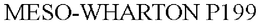 MESO-WHARTON P199 trademark