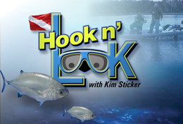 HOOK N' LOOK WITH KIM STICKER trademark