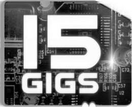 15 GIGS trademark