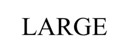 LARGE trademark
