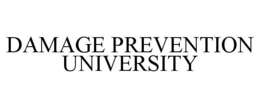DAMAGE PREVENTION UNIVERSITY trademark