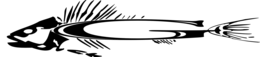 G trademark