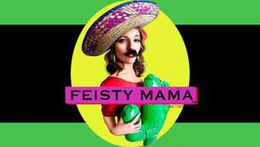 FEISTY MAMA trademark