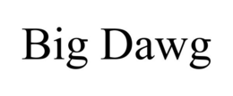 BIG DAWG trademark
