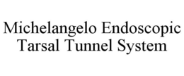 MICHELANGELO ENDOSCOPIC TARSAL TUNNEL SYSTEM trademark