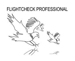 FLIGHTCHECK PROFESSIONAL trademark