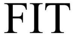 FIT trademark