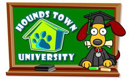 HOUNDS TOWN UNIVERSITY trademark