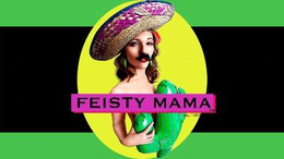FEISTY MAMA trademark