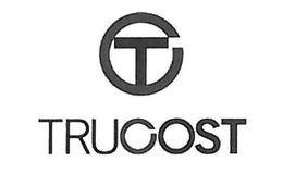 TC TRUCOST trademark
