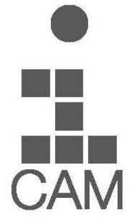 ICAM trademark