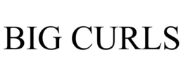 BIG CURLS trademark