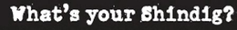 WHAT'S YOUR SHINDIG? trademark