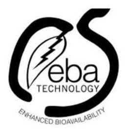 EBA TECHNOLOGY trademark