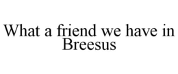 WHAT A FRIEND WE HAVE IN BREESUS trademark