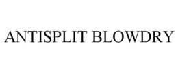 ANTISPLIT BLOWDRY trademark