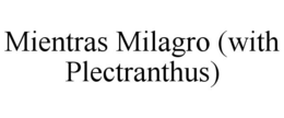 MIENTRAS MILAGRO (WITH PLECTRANTHUS) trademark