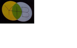 Y+B trademark