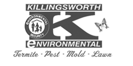 K KILLINGSWORTH ENVIRONMENTAL ENVIRONMENTAL SECURITY TERMITE PEST MOLD LAWN trademark