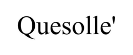 QUESOLLE' trademark