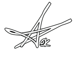 AOK trademark