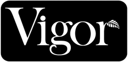 VIGOR trademark