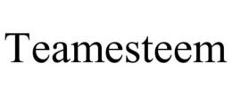 TEAMESTEEM trademark