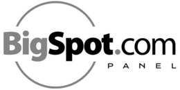 BIGSPOT.COM PANEL trademark