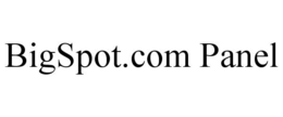 BIGSPOT.COM PANEL trademark