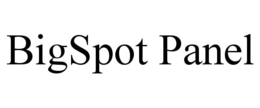 BIGSPOT PANEL trademark