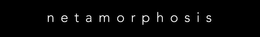 NETAMORPHOSIS trademark