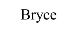 BRYCE trademark