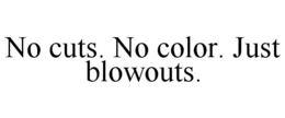 NO CUTS. NO COLOR. JUST BLOWOUTS. trademark