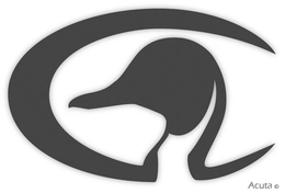 ACUTA trademark