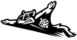 R trademark