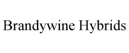 BRANDYWINE HYBRIDS trademark
